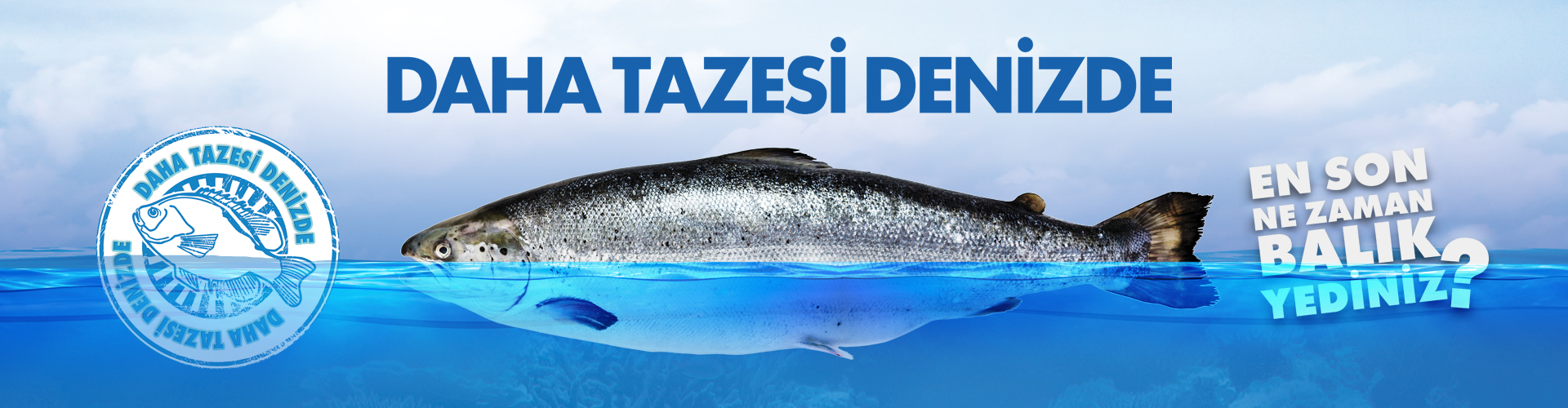 daha-tazesi-denizde.jpg 